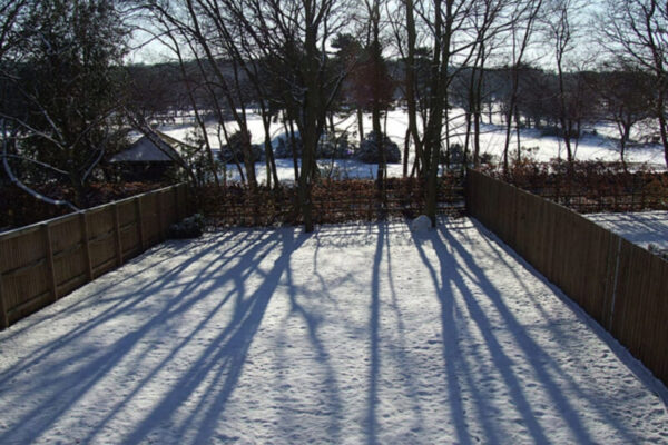 0910 Snow Garden 1