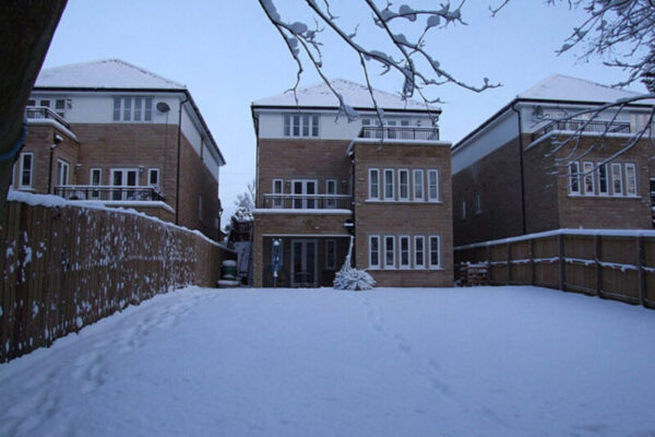 0910 Snow Garden 2