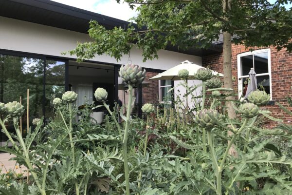 South Garden View After