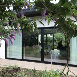 North Garden View After